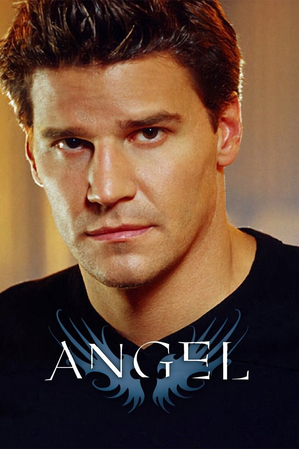 Angel Season 1 Rotten Tomatoes