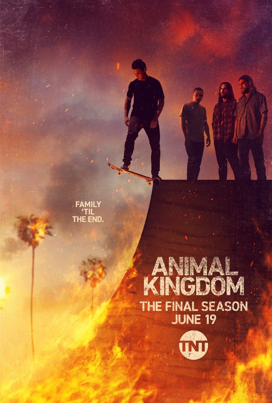 Animal Kingdom TV Series 2016 2022 IMDb