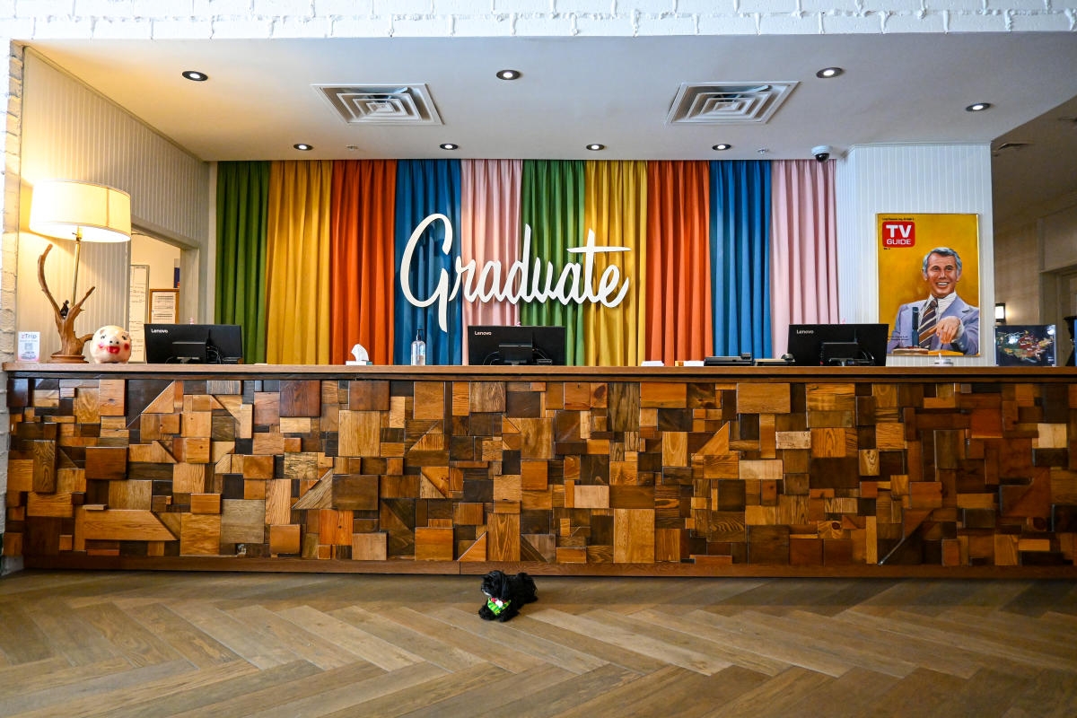 Bella s Best Graduate Lincoln Bella s Best Graduate Lincoln