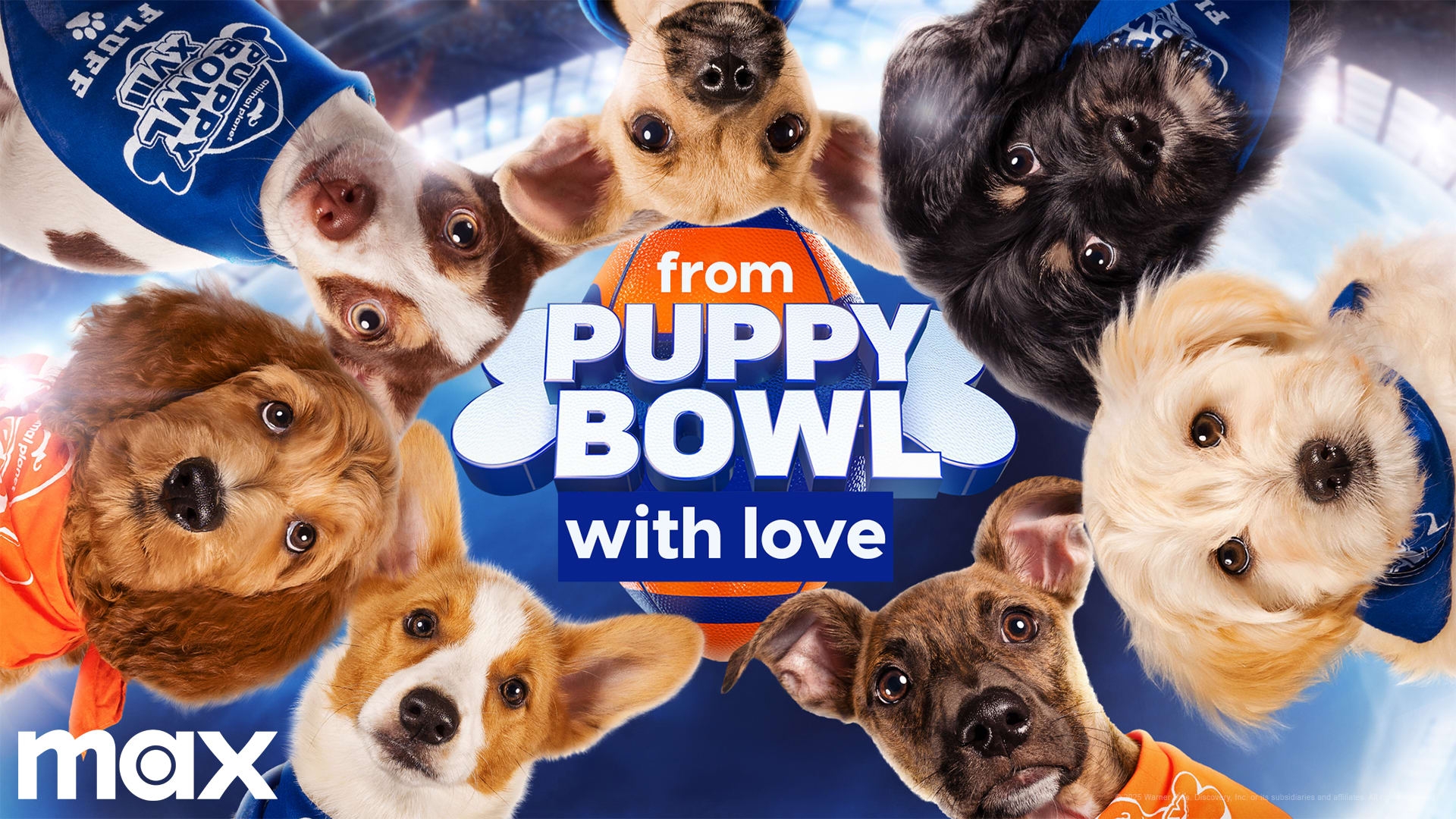 Discovery Communications Dog Tv Directv Best Dog Tv Channel Directv Deals Black Friday