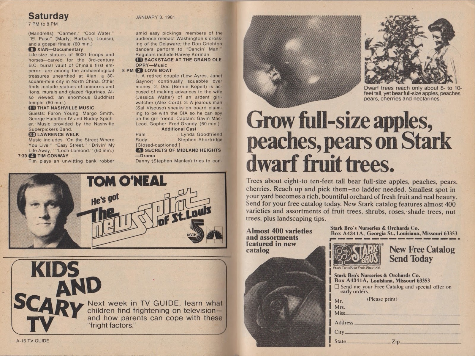 Garage Sale Finds What Was On TV January 3rd Through 9th 1981