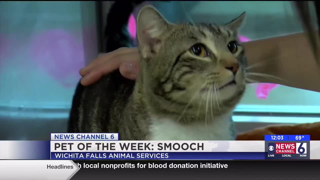 tv guide for wichita falls texas tv guide for wichita falls texas