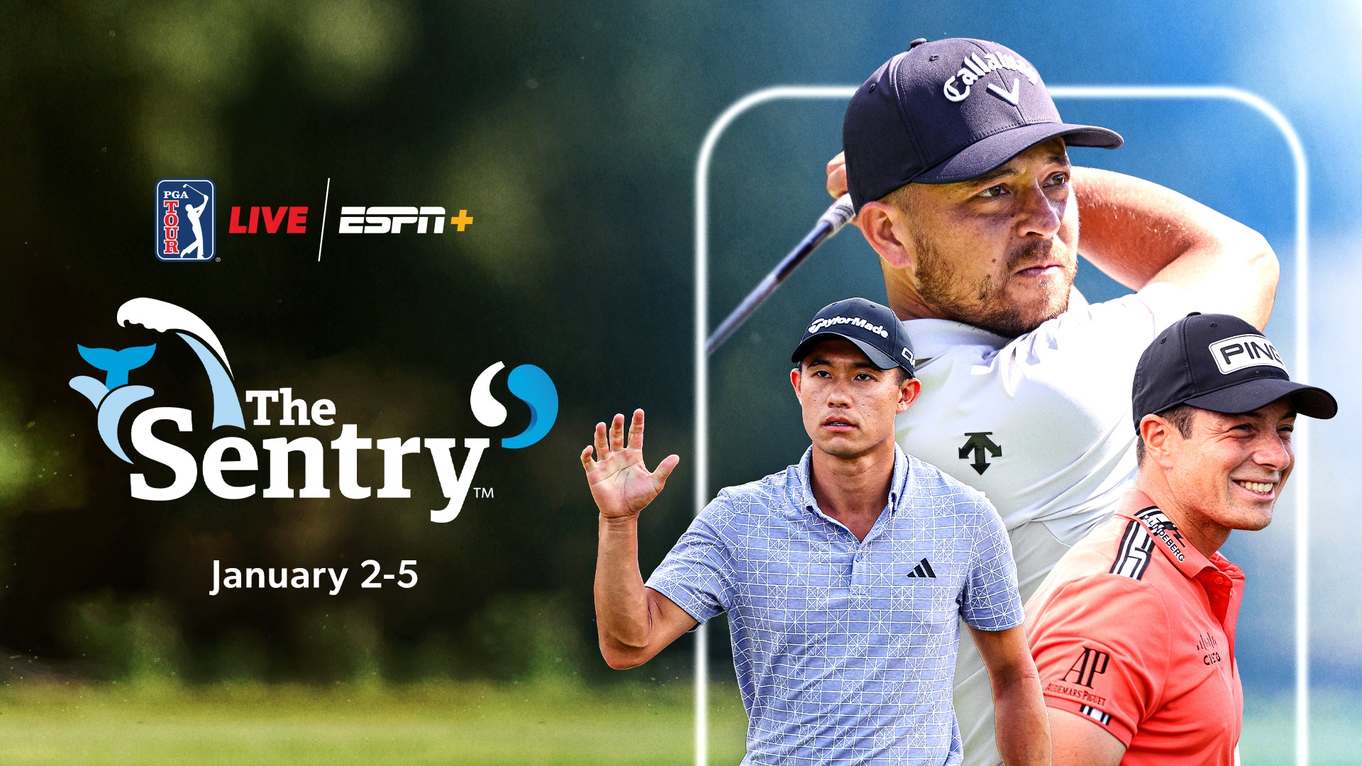 PGA TOUR LIVE On ESPN 2025 PGA TOUR Opening Drive At The Sentry At Kapalua In Hawaii ESPN Press Room U S 