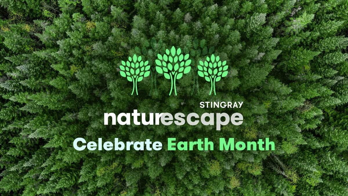 Pluto TV April 2025 Schedule Announced