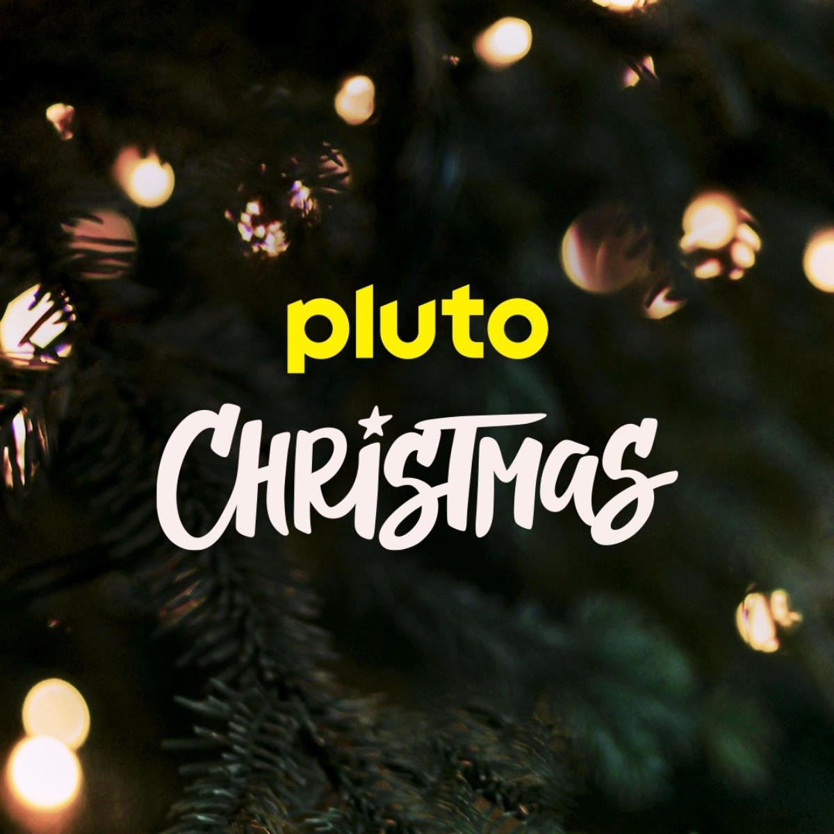 Pluto TV December 2024 Schedule Announced