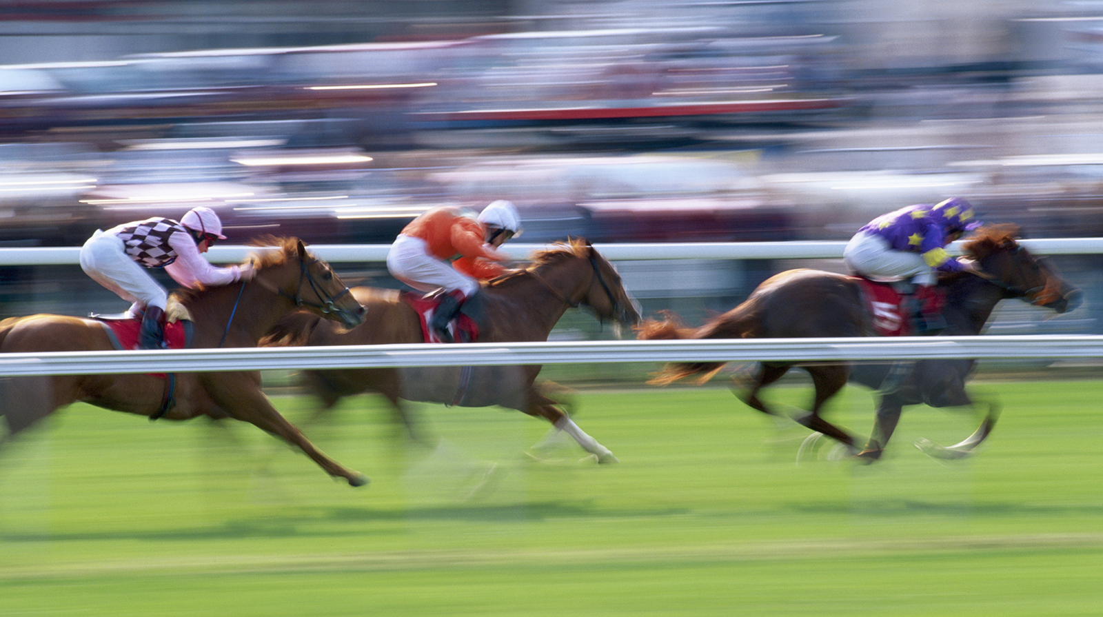 Preakness Stakes 2025 How To Watch Positions More DIRECTV Insider Preakness Stakes 2025 How To Watch Positions More DIRECTV Insider