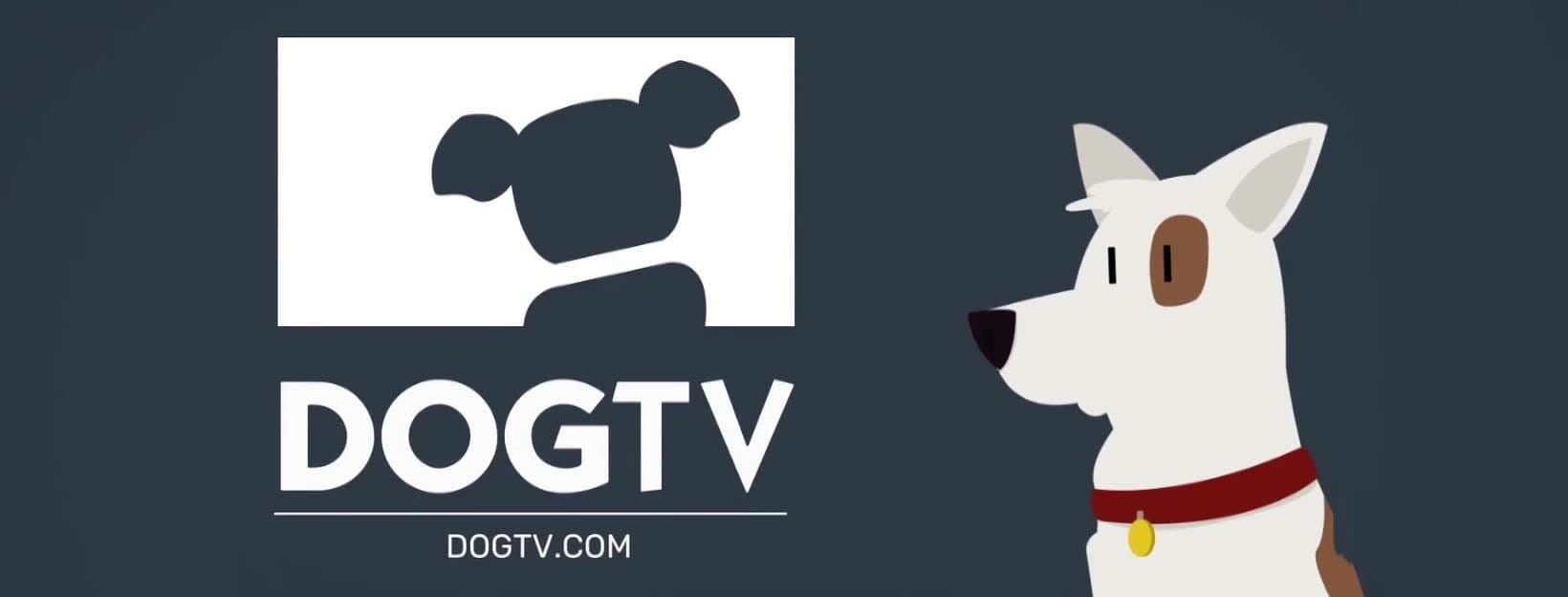 Sale Dog Tv Directv New Channel Factory Sale What Is The Best TV Channel For Dogs Get A 1 Month DOGTV Free Trial