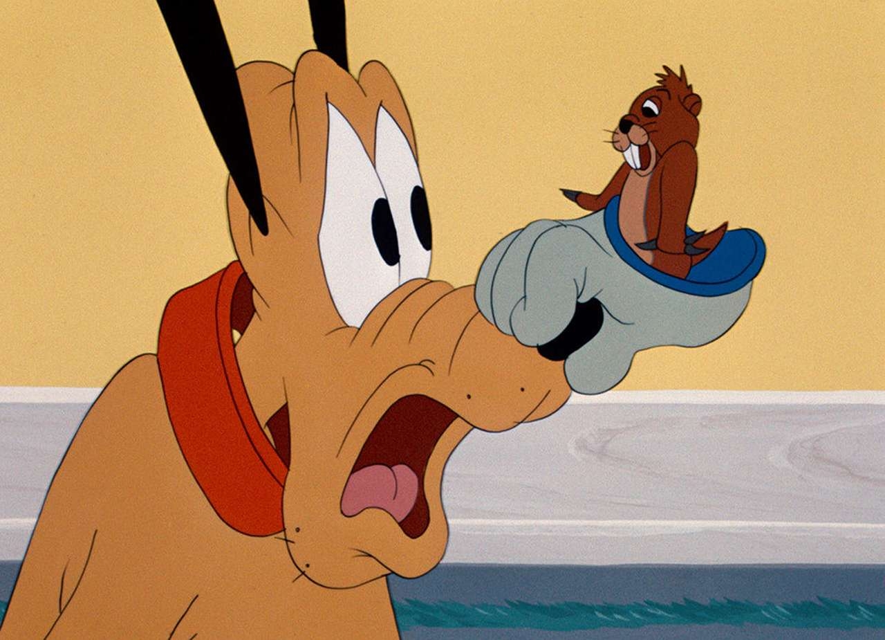 Shop Pluto The Dog From Mickey Mouse Flash Sales Disney S Pluto The Dog Can Talk Conspiracy Theory Unifi