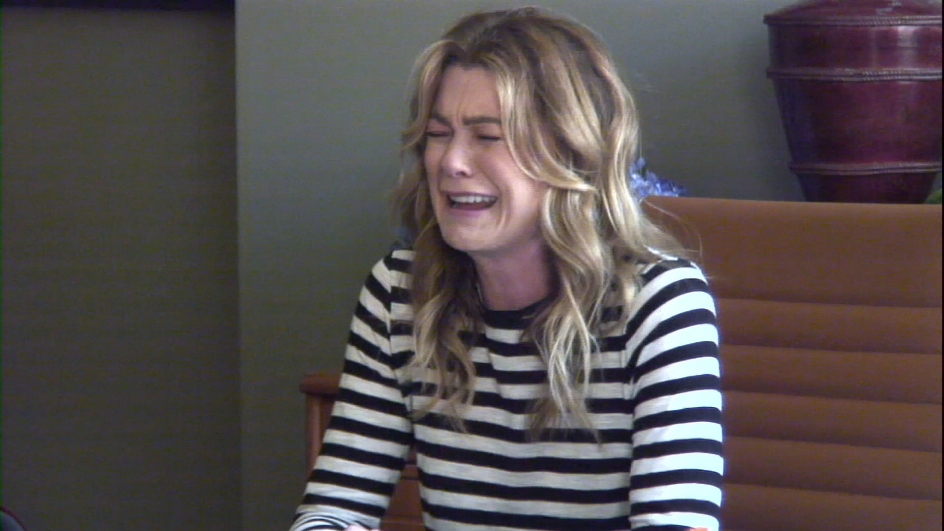 VIDEO ABC To Air Repeat After Me Based On Ellen Hidden Camera Bits