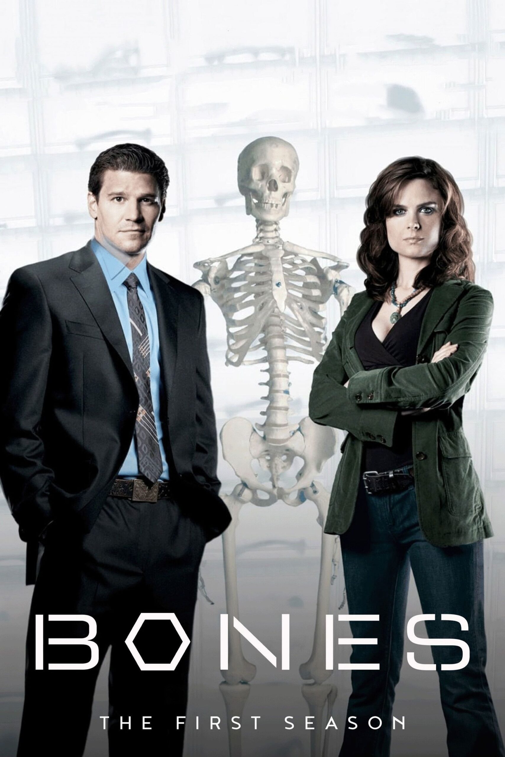 Watch Bones Season 1 Full Episodes Free Online Plex