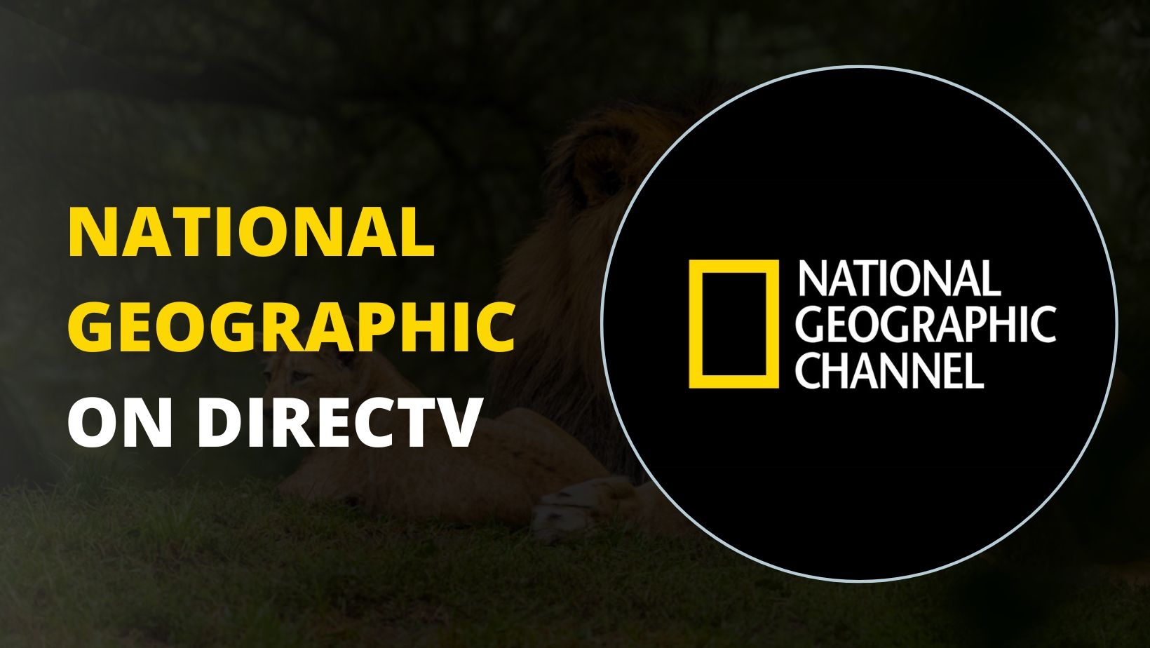 What Channel Is National Geographic On DIRECTV 